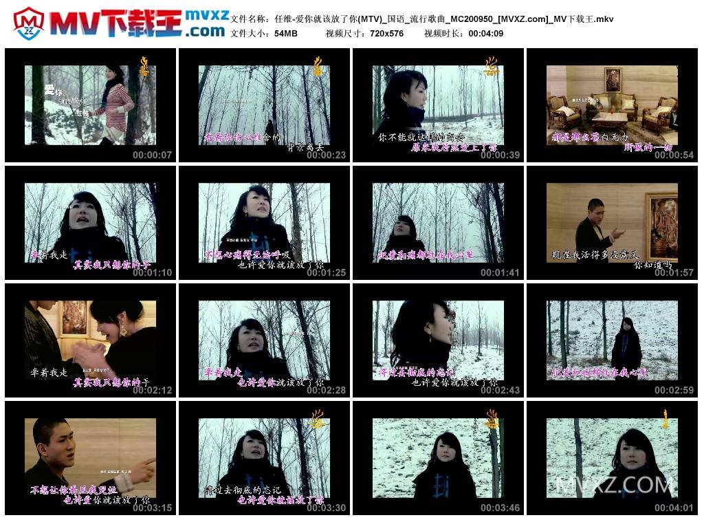 任维-爱你就该放了你(MTV)_国语_流行歌曲_MC200950